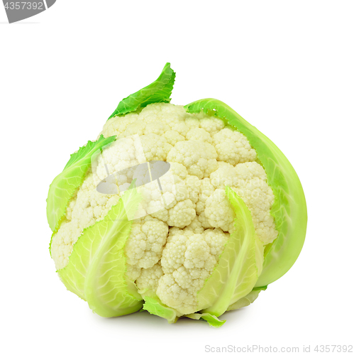 Image of Cauliflower