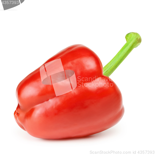 Image of Bell Pepper