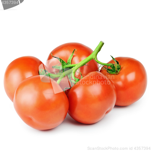 Image of Tomatoes