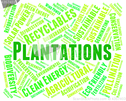 Image of Plantations Word Means Agriculture Ranch And Text