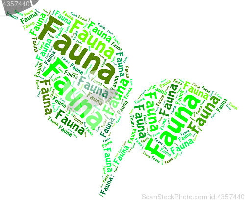 Image of Fauna Word Represents Animal Kingdom And Area