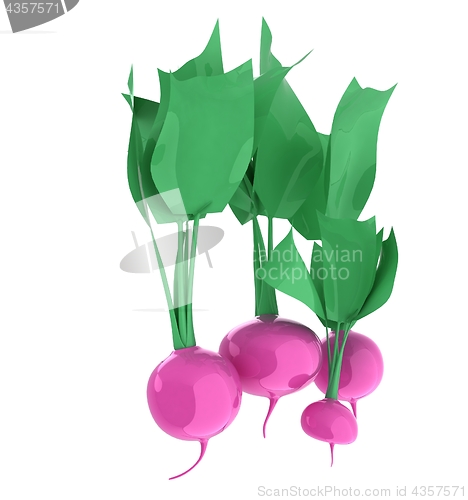 Image of Small garden radish isolated on white background. 3d illustratio