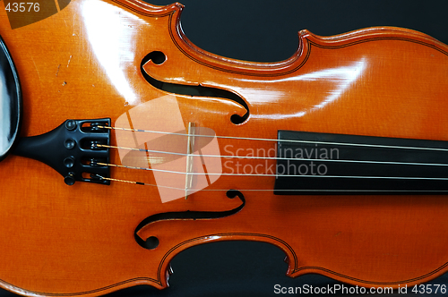 Image of Violin