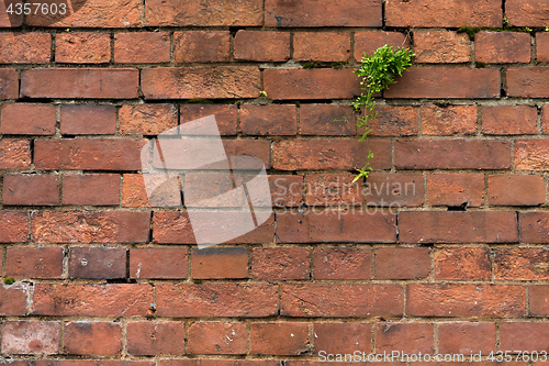 Image of Red brick wall texture