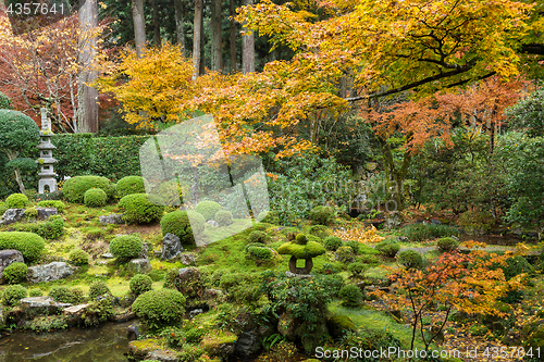 Image of Beautiful autumn landscape