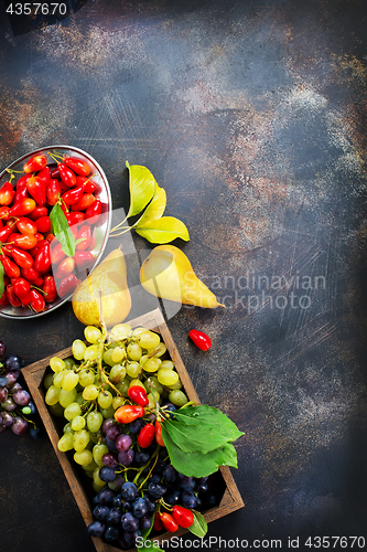 Image of autumn fruits