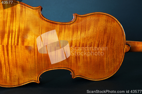 Image of Violin