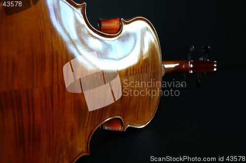 Image of Violin