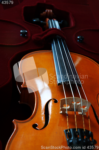 Image of Violin