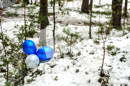 Image of Balls in the forest.