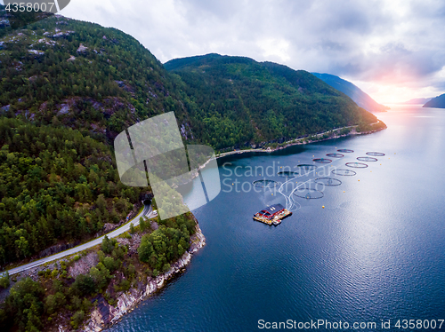 Image of Farm salmon fishing