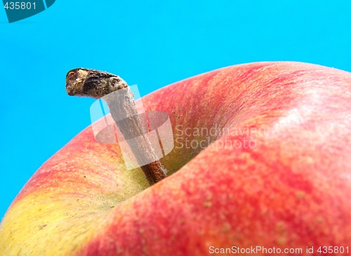 Image of apple