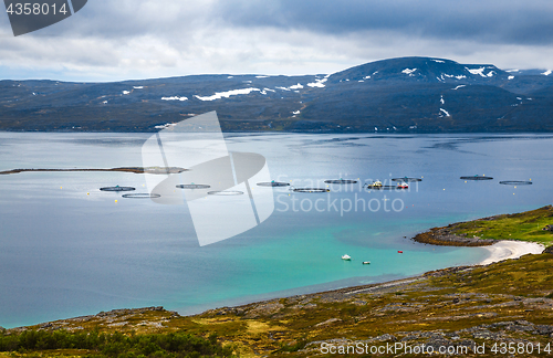 Image of Farm salmon fishing