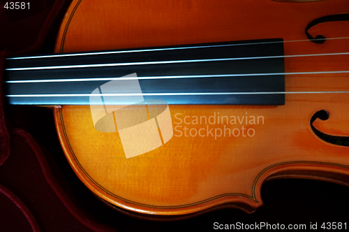 Image of Violin