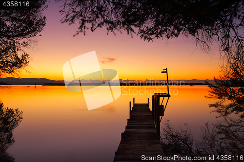 Image of Old timber jetty at dawn framed by trees