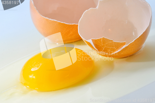 Image of Broken fresh egg