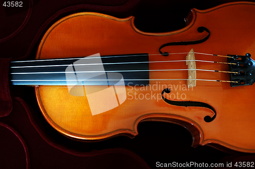 Image of Violin