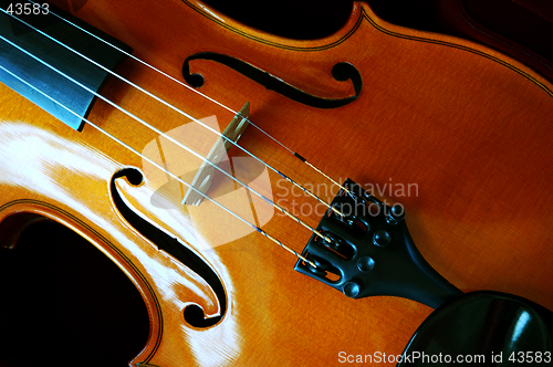 Image of Violin