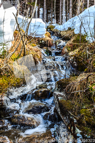 Image of A trickling water stream that runs through the woods