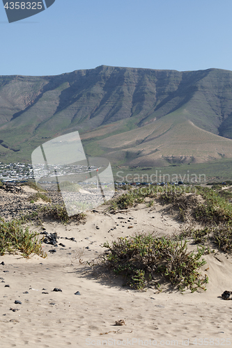 Image of Landscape Lanzarote