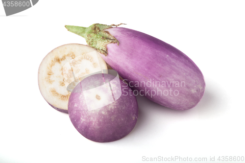 Image of Purple and white Eggplant