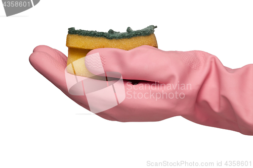 Image of Hand in rubber glove holding a grungy dish sponge