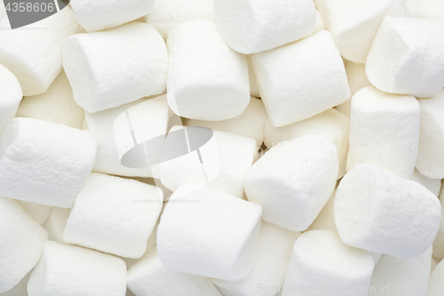 Image of Marshmallow