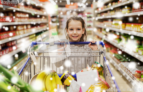 Image of girl with food in shopping cart at grocery store