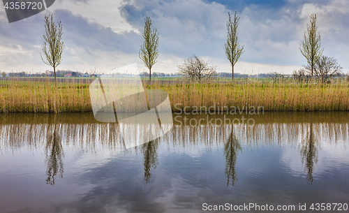 Image of Rural Dutch Landscape