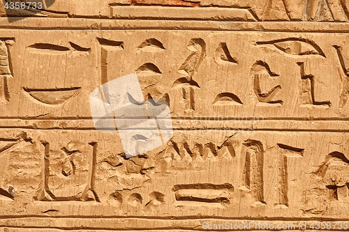 Image of Ancient Hieroglyphic Script
