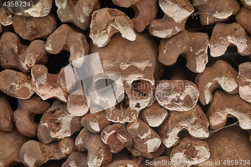 Image of Skulls and bones in a wall