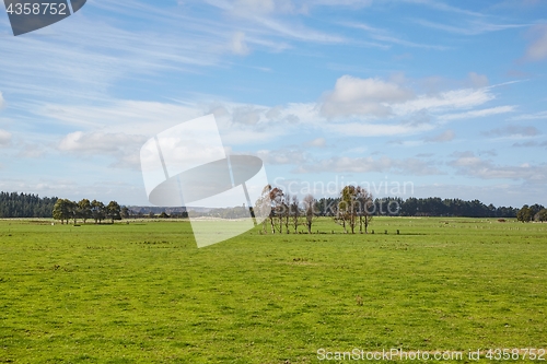 Image of Fields of green pasture