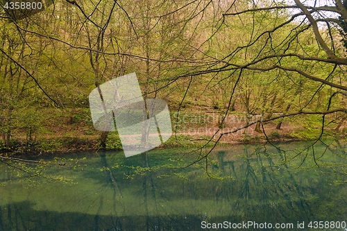 Image of Small lake with trees