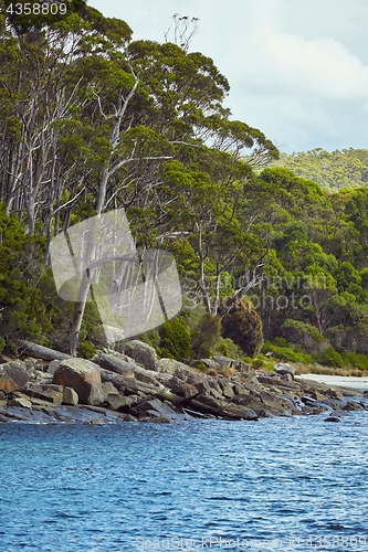 Image of Fortescue bay shores