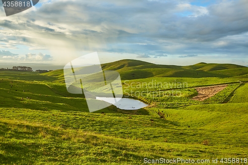 Image of Green landscape in New Zealand