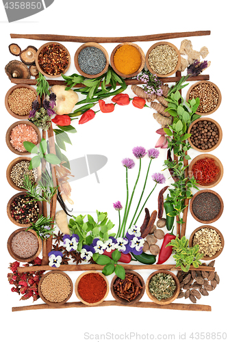 Image of Spice and Herb Abstract Border