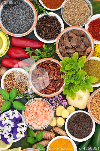 Image of Herb Spice and Edible Flower Background