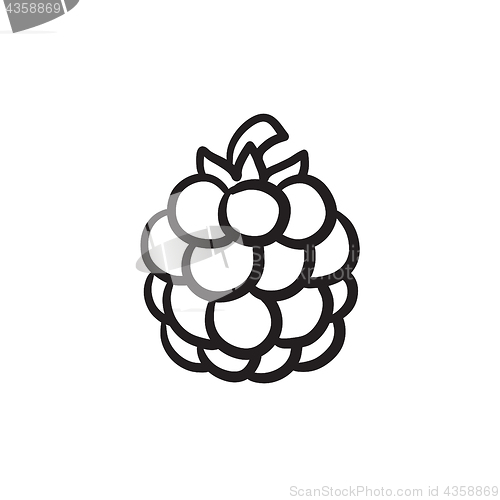 Image of Raspberry sketch icon.