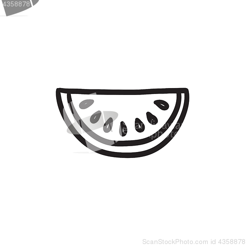 Image of Melon sketch icon.