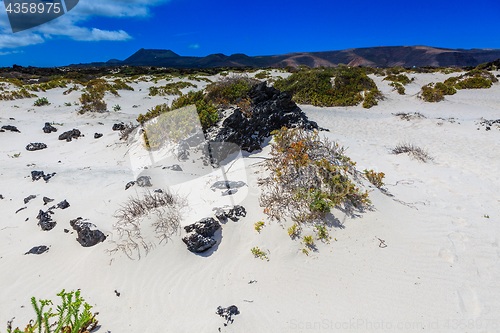 Image of Lanzarote has many and beautiful beaches.