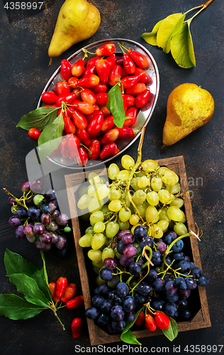 Image of autumn fruits