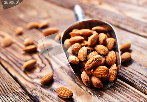 Image of almond
