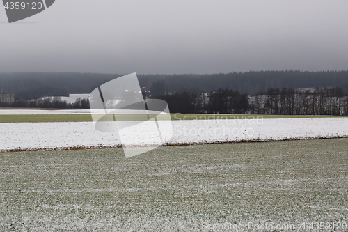 Image of Agricultural Fields on Foggy Winters Day