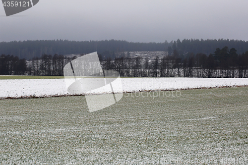 Image of Agricultural Fields on Foggy Day Of Winter