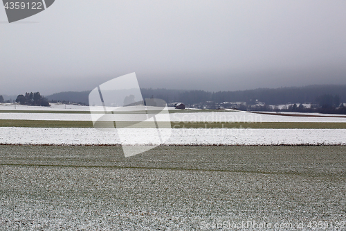 Image of Agricultural Fields in Winter