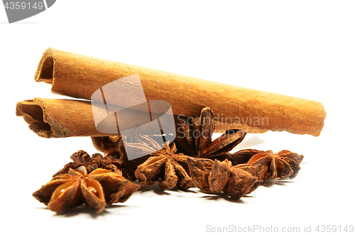 Image of Cinnamon stick and star anise spice