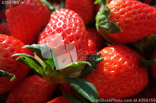 Image of Fresh and red strawberries