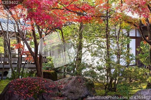 Image of Kokoen Garden in Japan