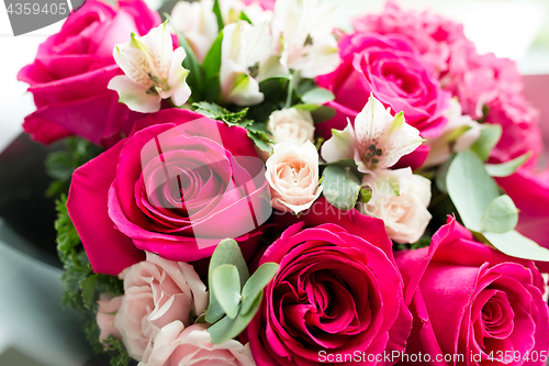 Image of Beautiful pink roses flower