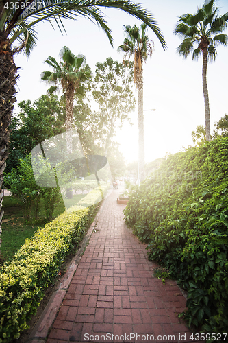 Image of Turkish summer street